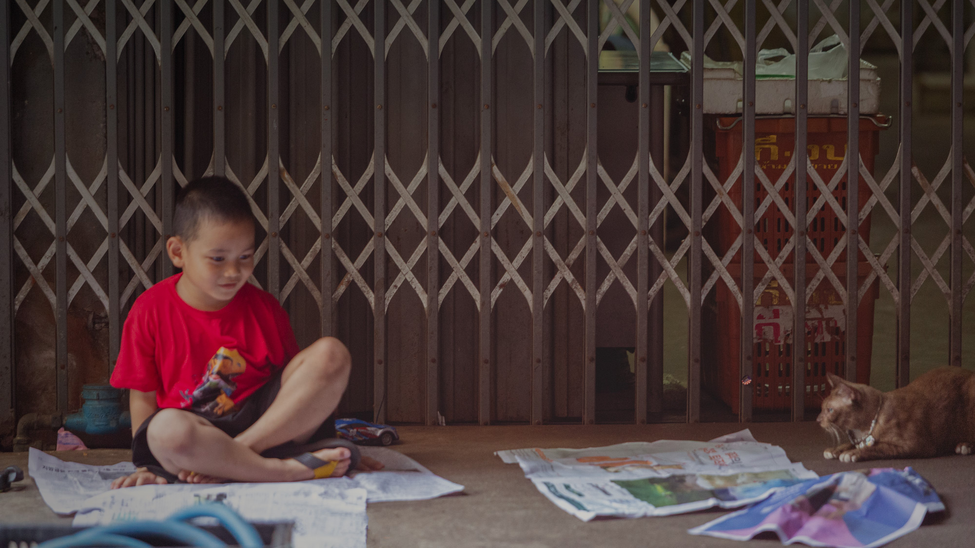 A child and one (or two) cats